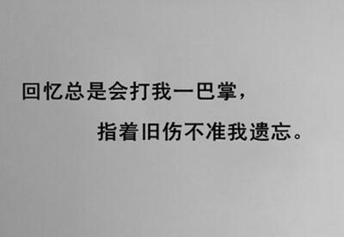 表白字数20以内的句子