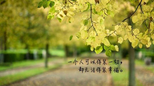 不轻言放弃人生的格言